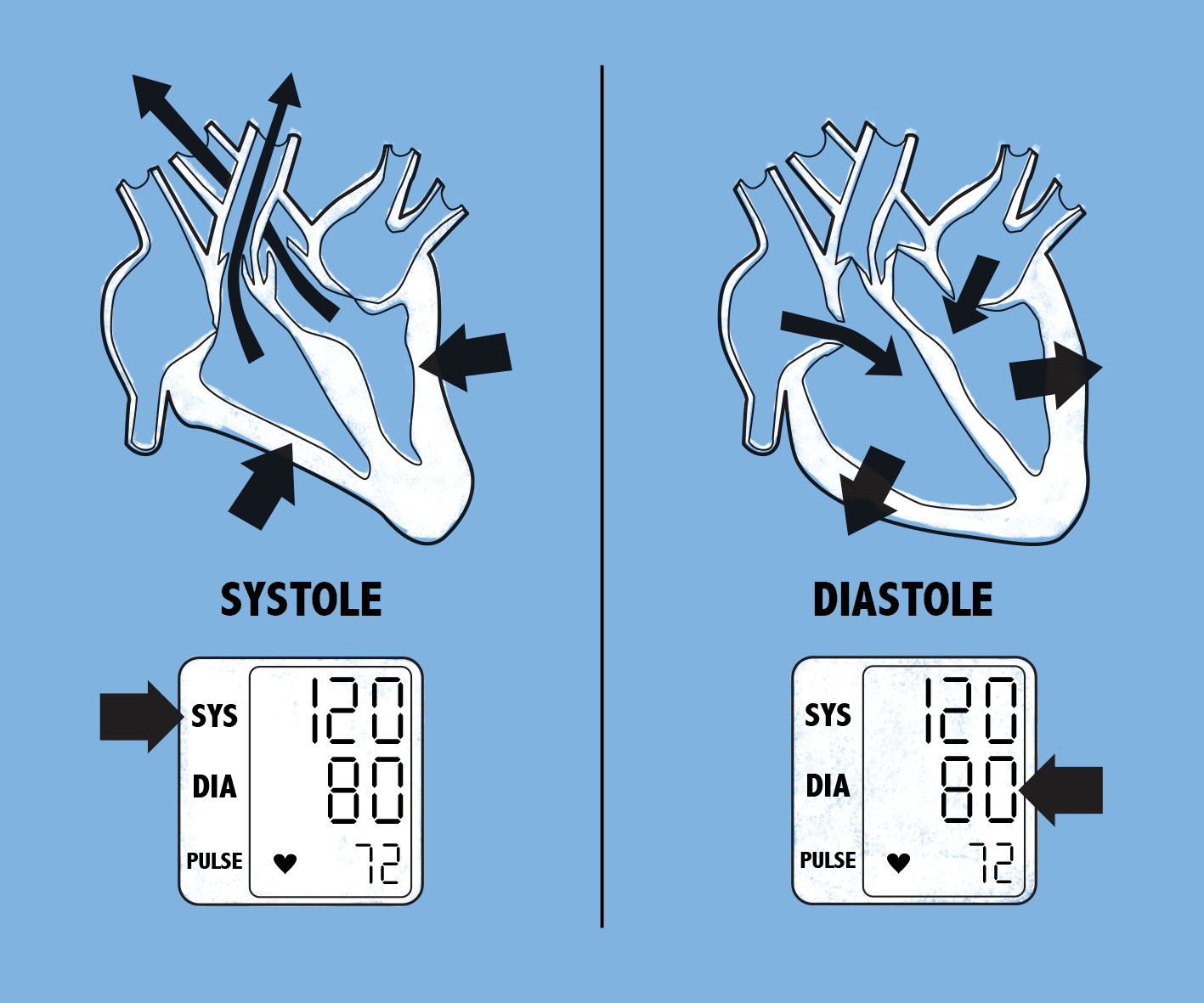 Les mesures lors de votre prise de tension